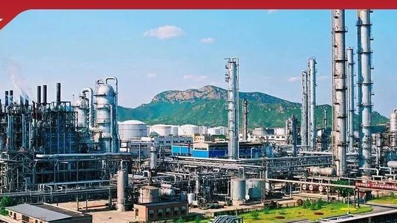 高分子材料厂家对比，性价比高的关键考量